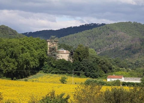 Camping La Clémentine 4* - 26