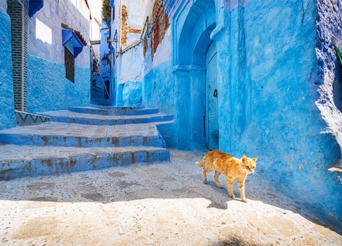 Circuit Des villes légendaires du Maroc : tradition et modernité - 13