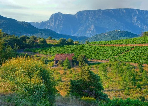 Camping Le Pinada, 3* - 28