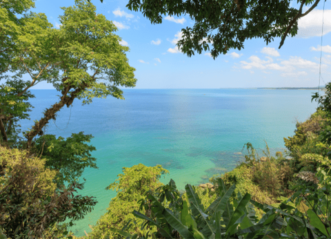 Circuit Du Parc National de Khao Sok aux Sables de Khao Lak - 27