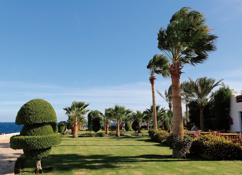 Sharm Club Beach Resort - 9