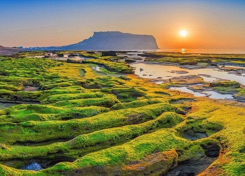 LE ROYAUME DU MATIN CALME EXT JEJU - 9