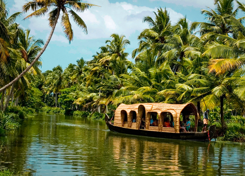 Circuit Merveilles du Kerala en Privatif - 38