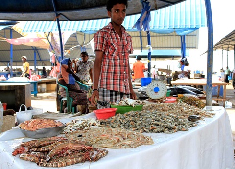 Circuit Découverte du Sri Lanka - 6