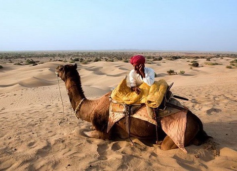 Circuit Privé Les belles cités du Rajasthan - 7