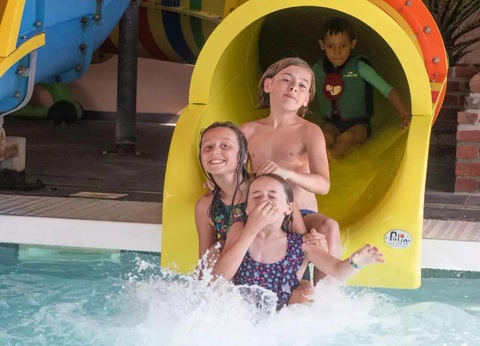 Flower Camping Vitamin, 4* - 7