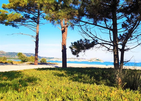 Camping Dolce Vita 3* - 9