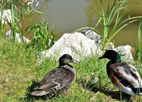 Camping De la Plage, 4* - 14