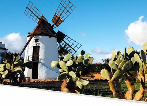 Hôtel Ôclub Experience LIVVO Jandia Golf 4* - 12