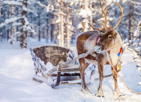 Club Framissima Cape East (activités incluses) - 5