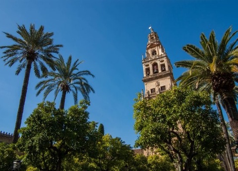 Circuit toute l'Andalousie 4* - 9