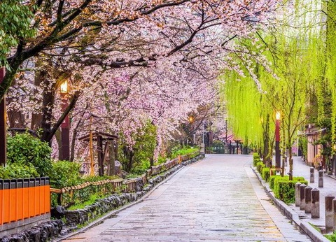 Carpe Diem au Japon - 13