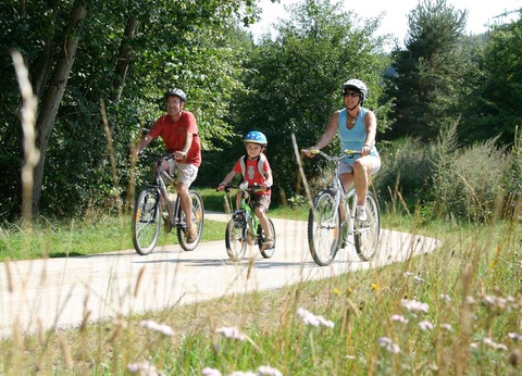 Camping Paradis - L'Europe, 4* - 35