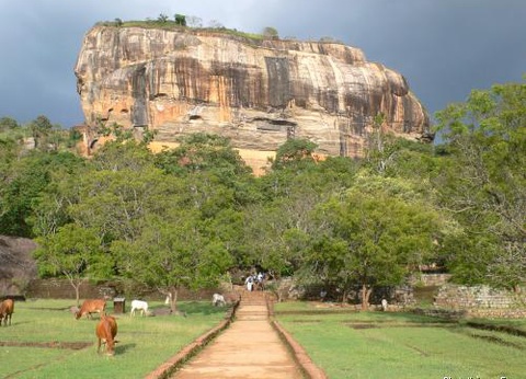 Circuit Balade cinghalaise privative - 2