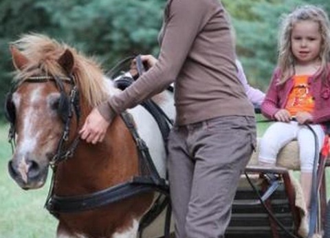 Camping Le Valenty - 52