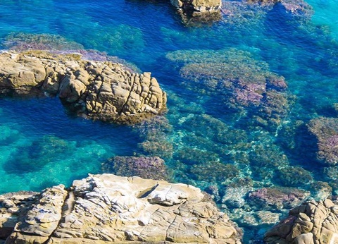 Camping Rais Gerbi, 4* - 39