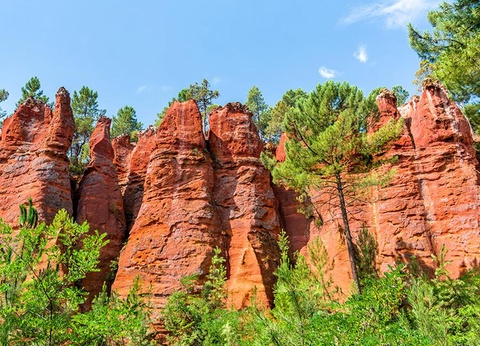 Camping Les Hautes Prairies 4* - 50