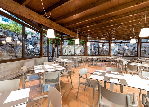 Hôtel Ôclub Experience THB Tropical Island 4* - 9