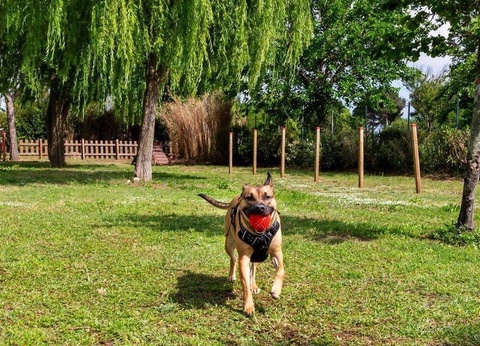 Hu Park Albatros Village, 4* - 78