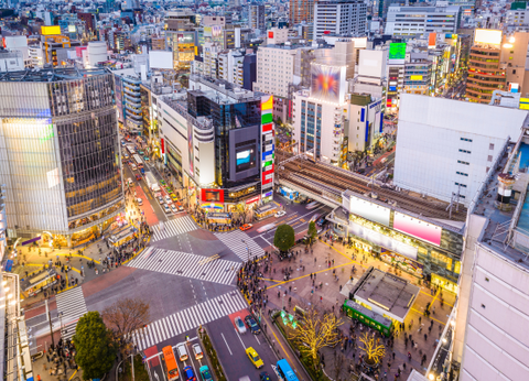 Circuit Capitales Nippones en Liberté, de Kyoto à Tokyo 3* et Ryokan - 21