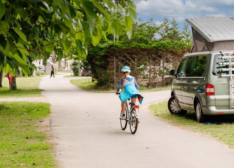 Flower Camping Les Paludiers, 4* - 84