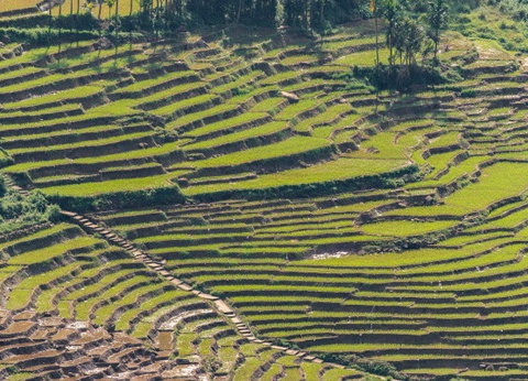 Circuit Intense Sri Lanka (privatif) et Framissima Mermaid 4* - 5