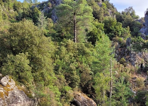 Camping U Libecciu - 10