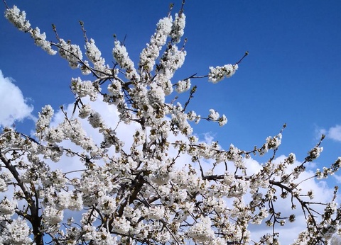 Village Vacances La Colline des Ocres, 3* - 21