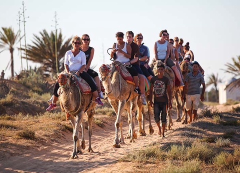 Hôtel El Mouradi Djerba Menzel 4* - 27