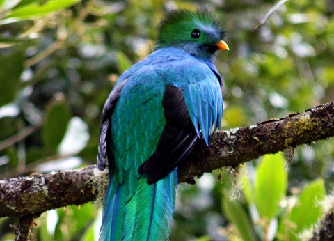 Circuit Tierra Maya - 15