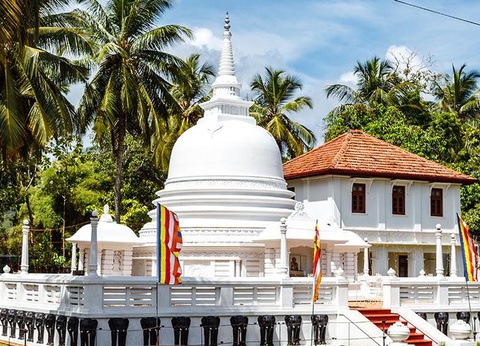 Circuit Incontournable Sri Lanka et Ôclub Experience Canareef Resort 4* - 3