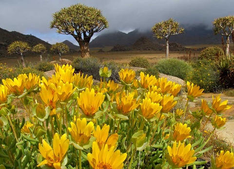 Circuit Chemins oubliés d'Afrique australe - 5