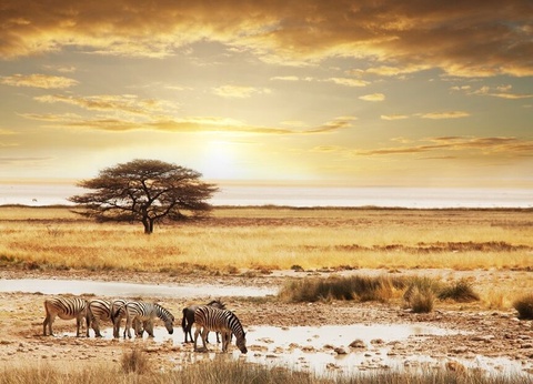 I Love Afrique du Sud & Chutes Victoria - 16J/13N - Du 10/01 au 21/03/26 - 2