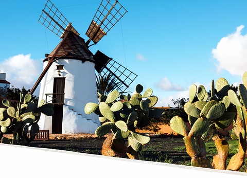 Hôtel Ôclub Experience LIVVO Jandia Golf 4* - 13