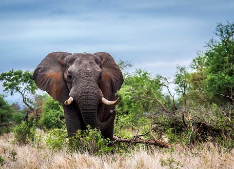 Circuit Cap sur l'Afrique du Sud - 2