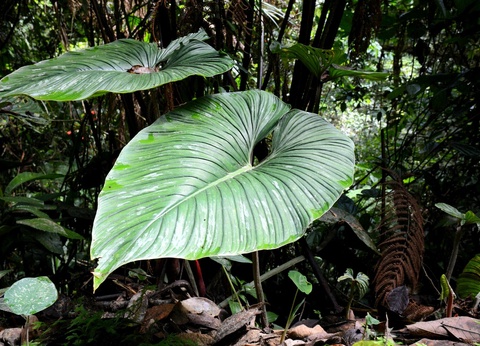 Circuit Sur le Chemin de l'Inca - 5