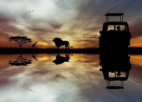 L'Afrique du Sud Intimiste & Chutes Victoria - 16J/13N Limité à 16 pers. (sauf sur la partie Victoria) - A partir du 07/04/25 - Vols Long Courrier Air France - 7