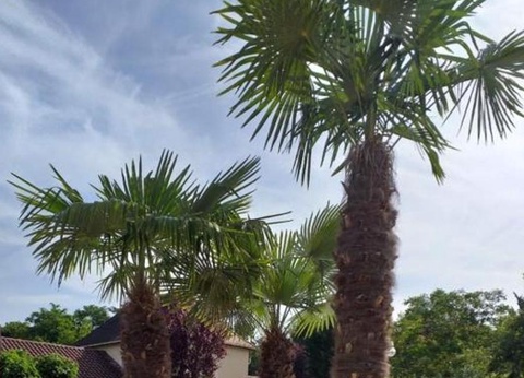 Camping maeva Escapades Au P'tit Bonheur, 3* - 19