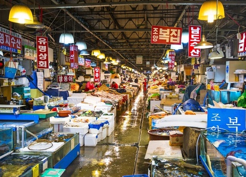 Combiné : La Traversée du Japon et de la Corée - 5