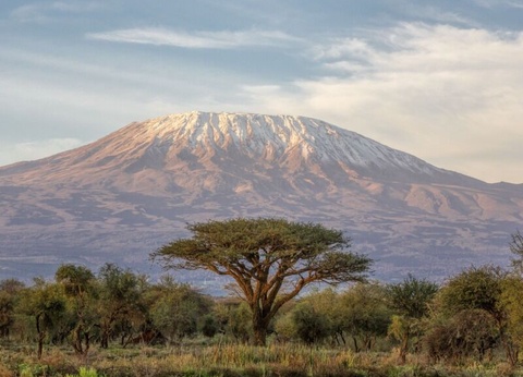 Circuit Simba - De Nairobi A Mombasa - 2