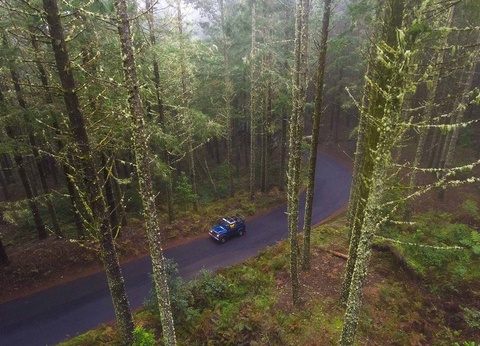 Circuit Echappée entre Terre et Mer à Madère depuis l'hôtel Cabo Girão 4* - 13