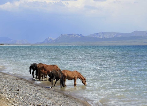 Circuit Grand voyage en terre d'Asie centrale - 8