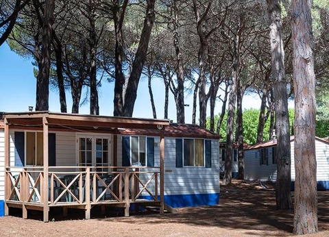 Camping Pineta sul Mare, 3* - 102
