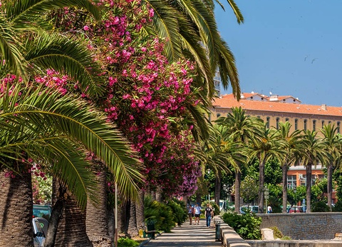 Circuit Autotour La Corse du Sud en toute intimité au départ de Figari - 3