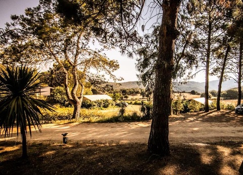 Camping Olva, 3* - 14
