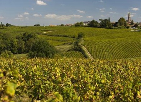 Camping Nantes Camping, 5* - 72