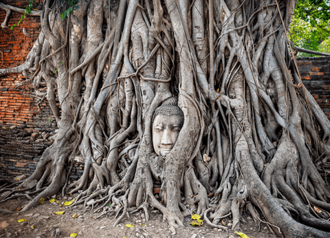 Circuit Jasmin de Thaïlande en Privatif et Plage de Krabi 5* - 25