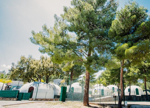 Camping Rais Gerbi, 4* - 61