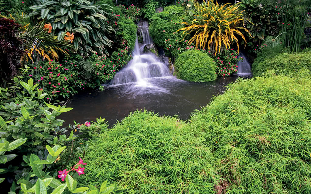 Circuit incontournable Guadeloupe - 12