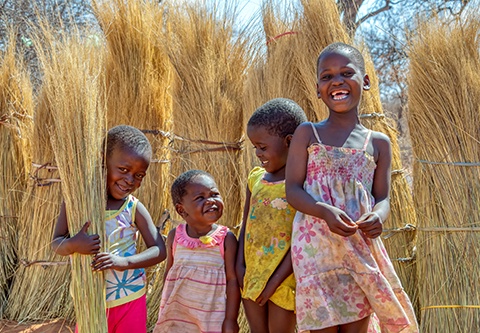 Immersion au Botswana & Extension Chutes Victoria 13J/10N - 2025 - 2